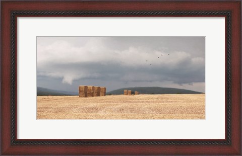 Framed Stormy Day Harvest I Print