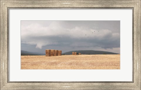 Framed Stormy Day Harvest I Print