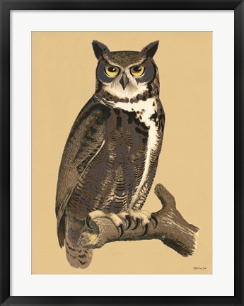 Framed Great Owl Print