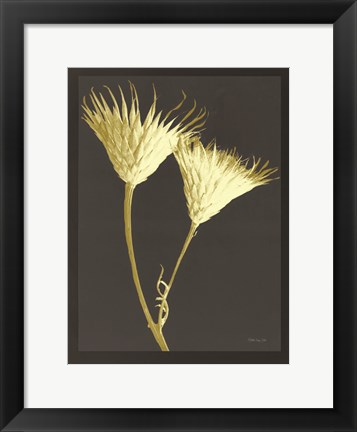 Framed Forms in Nature 2 Print