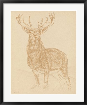 Framed Buck Sketch Print