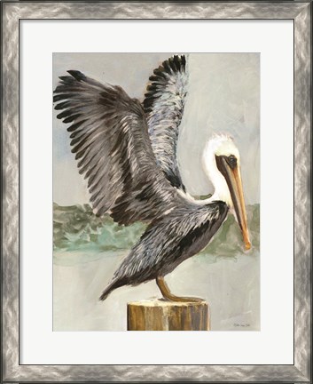 Framed Brown Pelican 2 Print