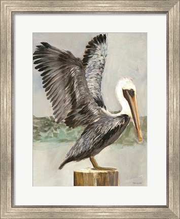 Framed Brown Pelican 2 Print