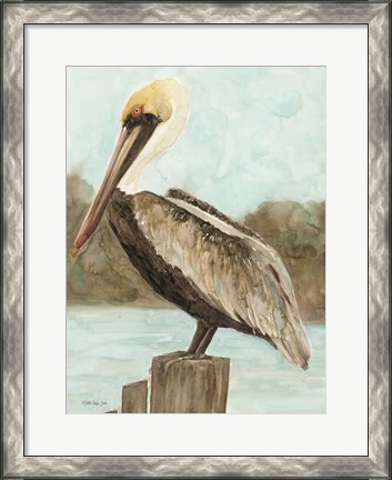 Framed Brown Pelican 3 Print