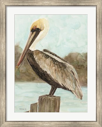 Framed Brown Pelican 3 Print