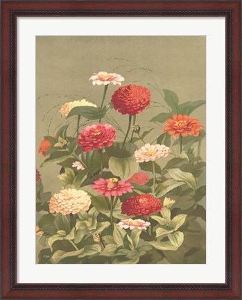 Framed Antique Botanical Collection 1 Print