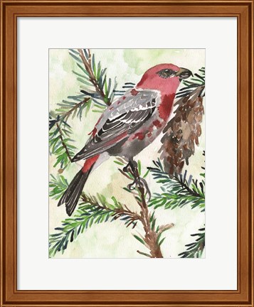 Framed Bird and Branch 1 Print