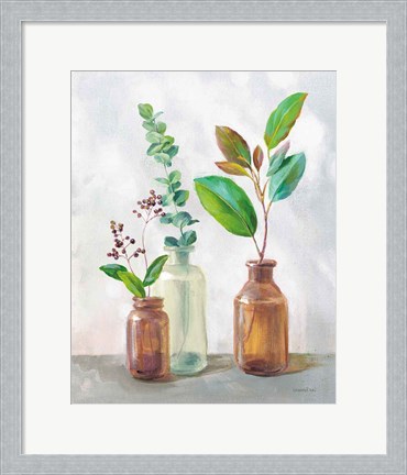 Framed Natural Riches III Clear Vase Print