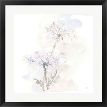 Framed Queen Annes Lace III Print