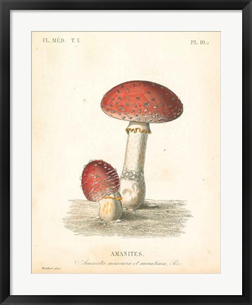 Framed French Mushrooms III Print