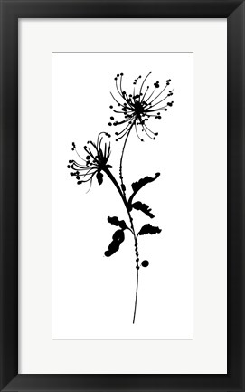 Framed Silhouette Floral IV Print