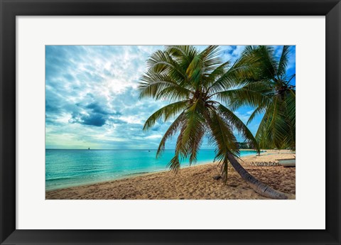 Framed Palm Tree Dreams Print