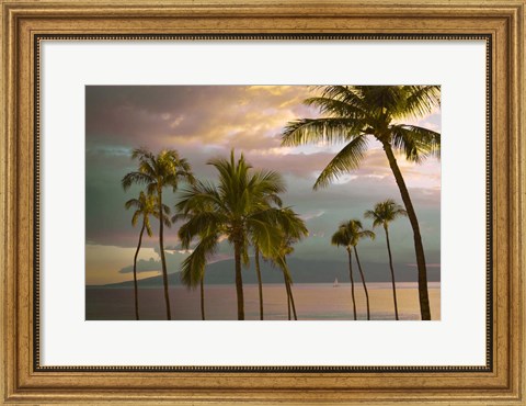 Framed Hawaii Palm Sunset No. 1 Print