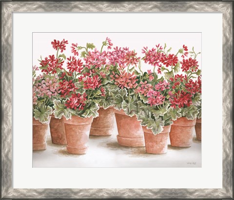 Framed Potted Geranium Mix I Print