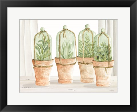 Framed Herb Collection Print