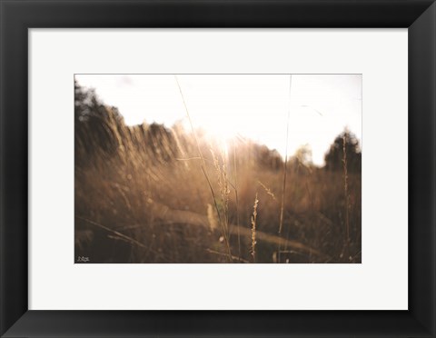Framed Bright Sun Haze I Print