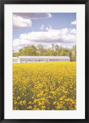 Framed Field of Yellow I Print