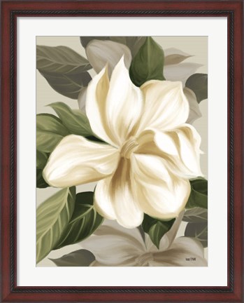 Framed Magnolia Blossoms II Print