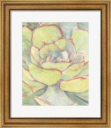 Framed Succulent Bloom 2 Print