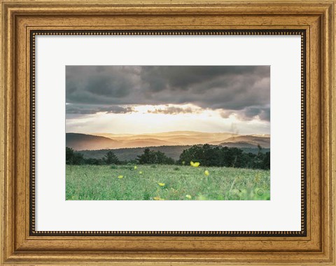 Framed Laying in the Flowers Print