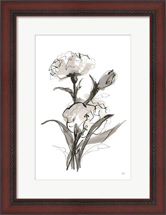 Framed Carnation II Print