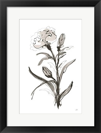Framed Carnation I Print