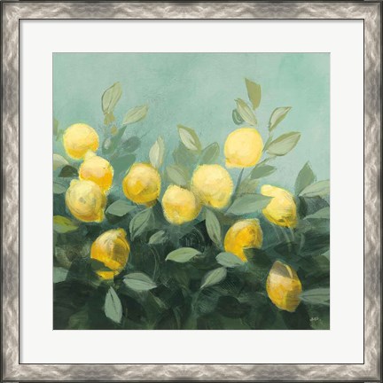 Framed Lemon Grove II Print