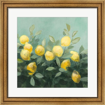 Framed Lemon Grove II Print