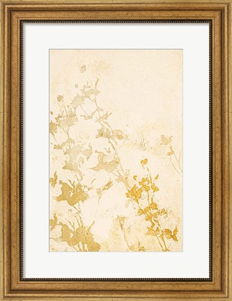 Framed Pure Nature 1 Print