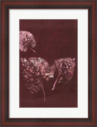 Framed Pure Nature 5 Print