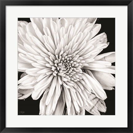 Framed Black and White Love II Print