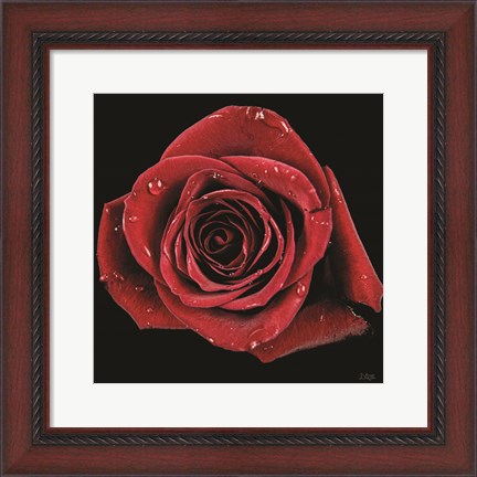 Framed Broken Heart Rose Print