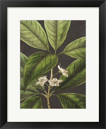 Framed Grand Leaves Print