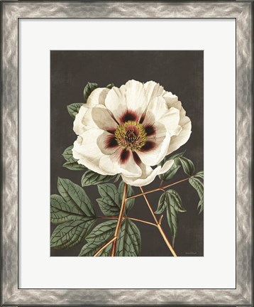 Framed Vintage Rose Print