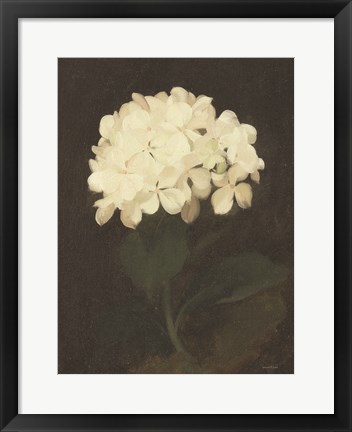 Framed Vintage White Hydrangea Print