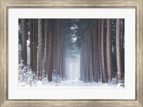 Framed Polar Winter Print