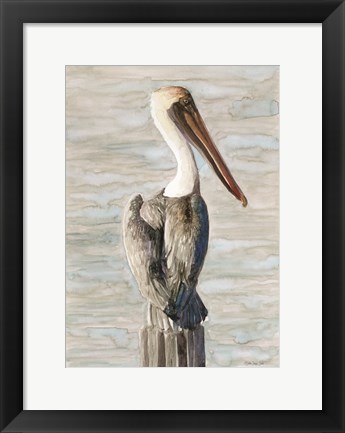 Framed Brown Pelican 1 Print