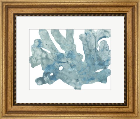 Framed Blue Macro Coral IV Print