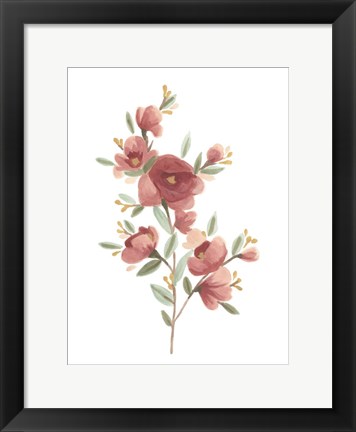 Framed Wildflower Sprig IV Print