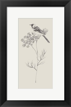 Framed Nature with Bird IV Print