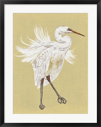 Framed Heron Plumage V Print