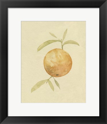 Framed Dappled Oranges III Print