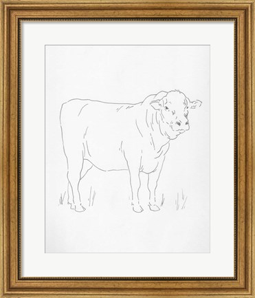 Framed Limousin Cattle I Print