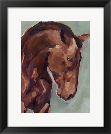 Framed Paint by Number Horse II Print
