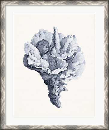Framed Blue Antique Coral III Print