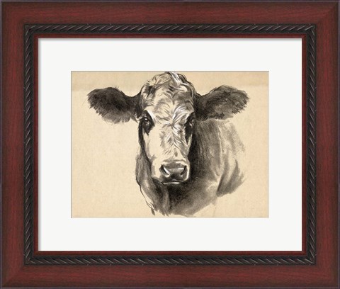 Framed Charcoal Cow I Print