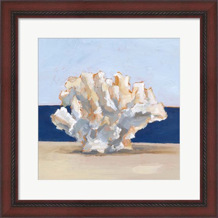 Framed Coral By the Shore II Print