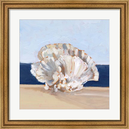 Framed Coral By the Shore III Print