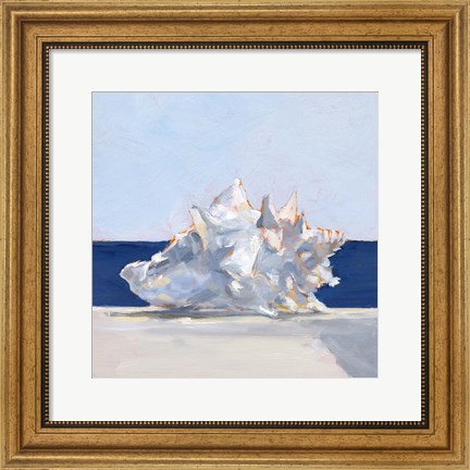 Framed Shell By the Shore I Print