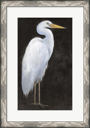 Framed White Heron Portrait I Print